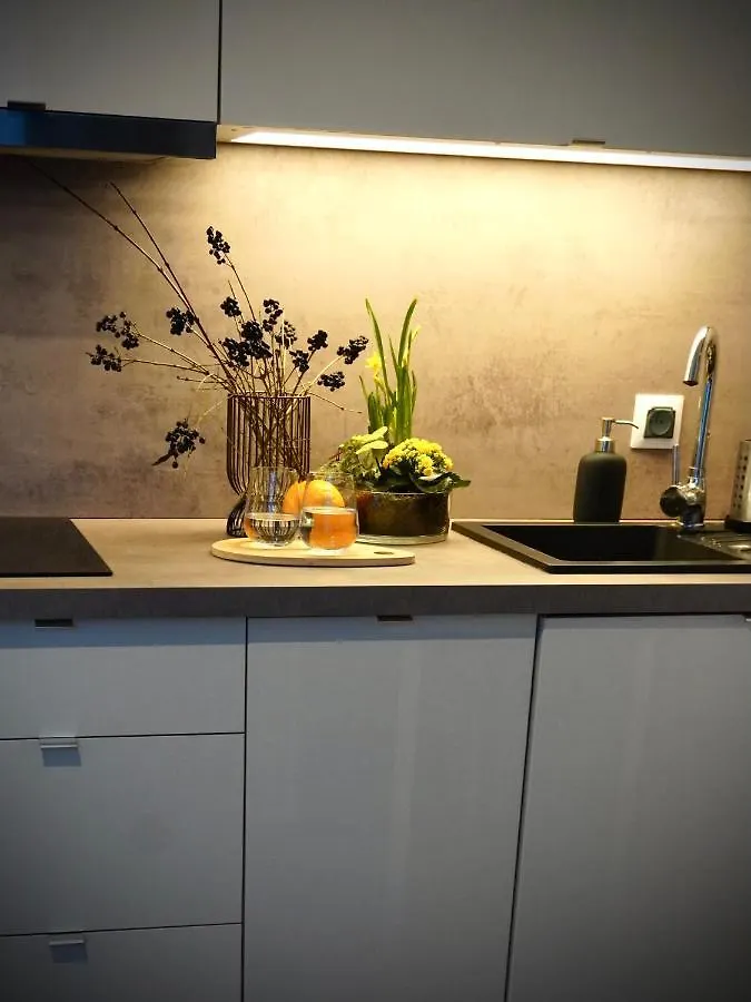 Apartment White Park Inn Batorego Mokotow Centrum Wifi Free Smarttv Warsaw